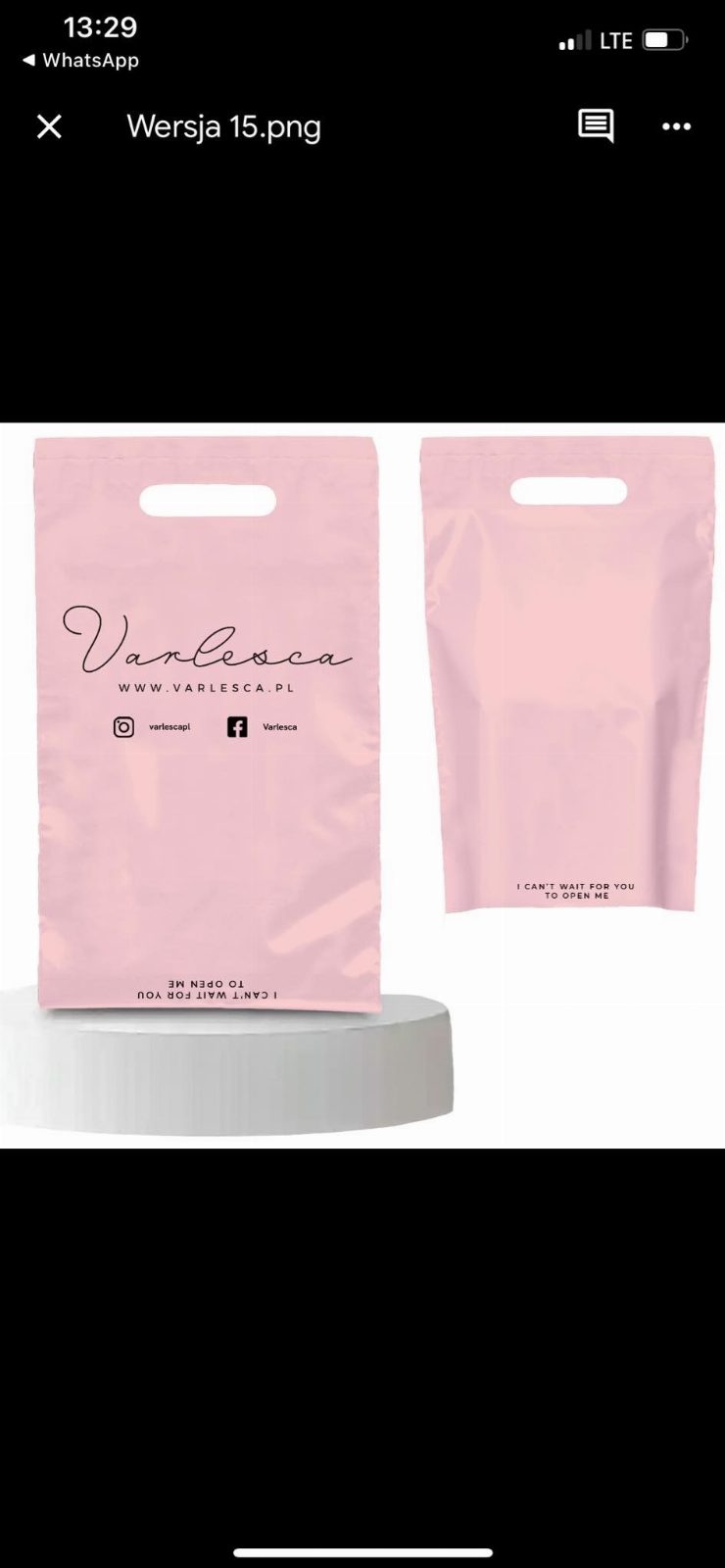 VARLESCA Foliopak 50szt. wymiar: 29x40+7+5, kolor: Pantheone 13-2808 , kolor logo: czarny, 55 mikronów, 100% nowy materiał 
